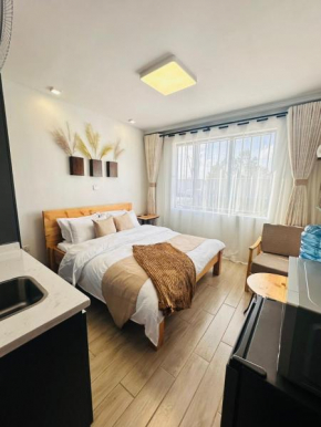 Luxury Homes Studio Apartment Syokimau